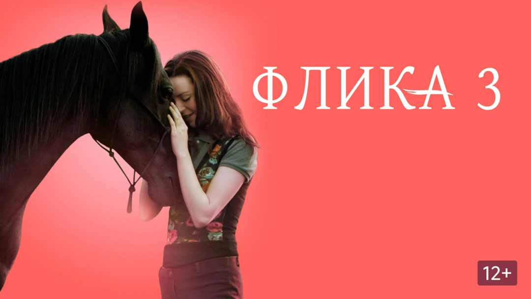 Фильм Флика 3