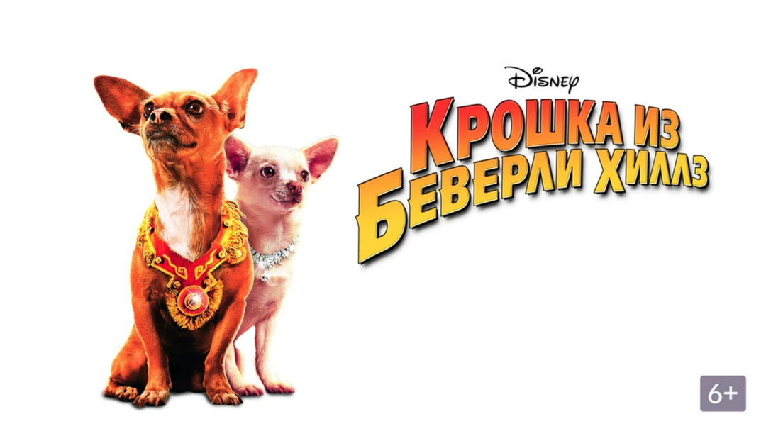 Фильм Крошка из Беверли-Хиллз
