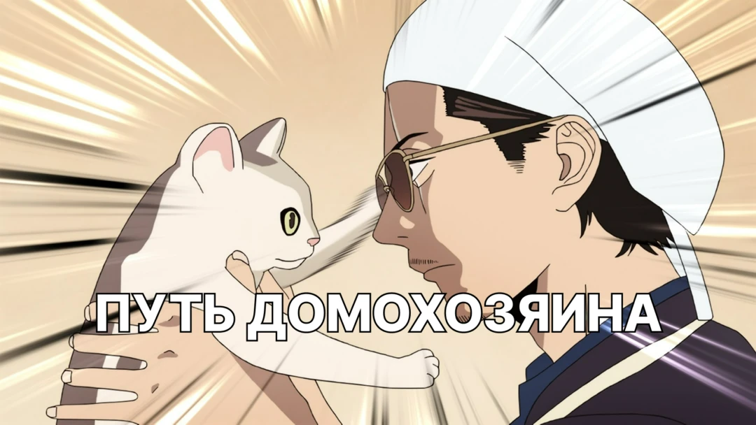 Сериал Путь домохозяина