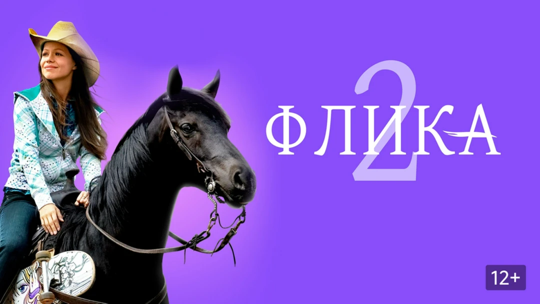 Фильм Флика 2
