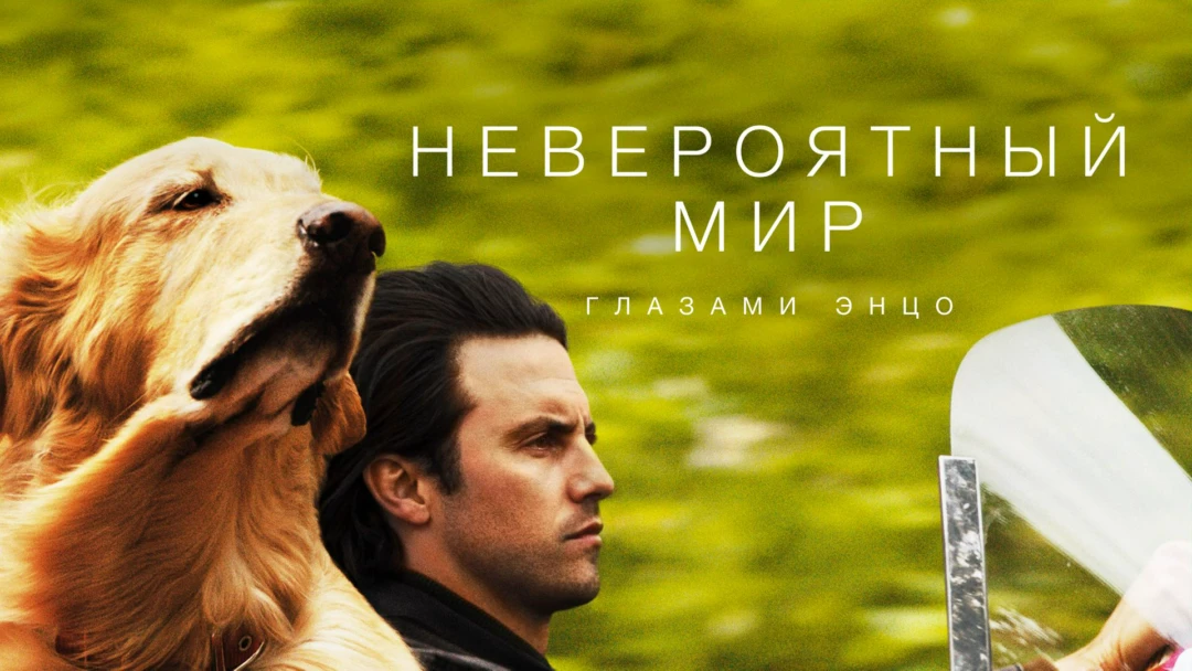 Фильм Невероятный мир глазами Энцо