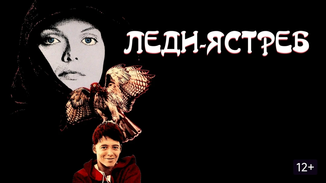 Фильм Леди-ястреб