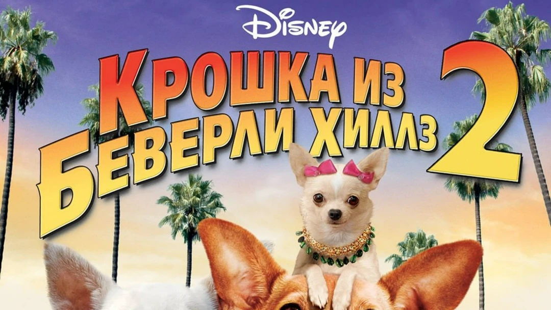 Фильм Крошка из Беверли-Хиллз 2