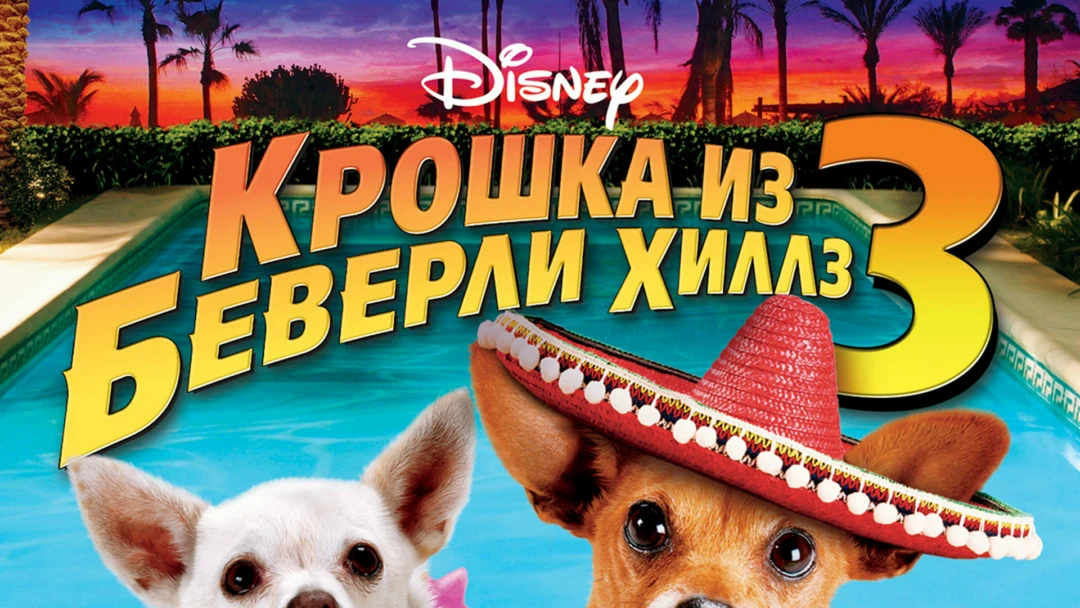 Фильм Крошка из Беверли-Хиллз 3