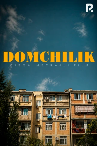 Domchilik