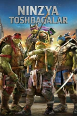 Ninzya toshbaqalar