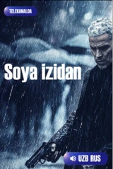 По следу тени
