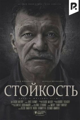 Стойкость