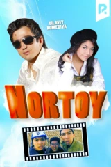 Nortoy