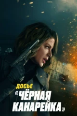 Досье «Чёрная канарейка»
