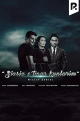 Sizsiz o'tmas kunlarim