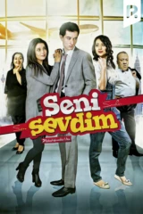 Seni sevdim