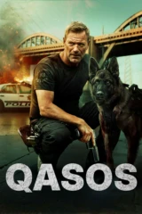 Qasos