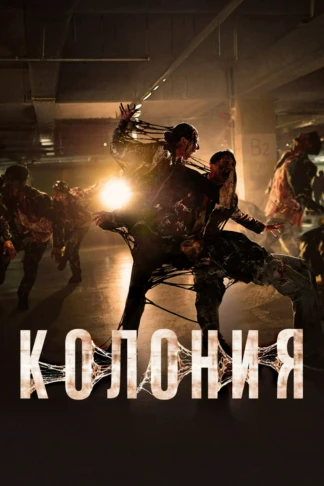 Колония