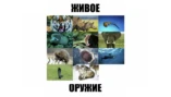 1-я серия