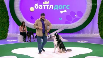 2 выпуск