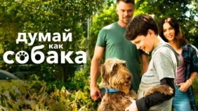 Трейлер 1