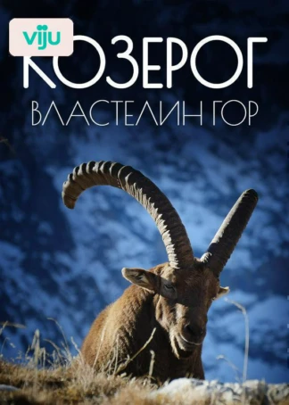 Козерог – властелин гор