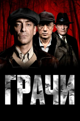 Грачи