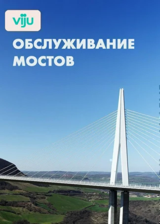 Обслуживание мостов