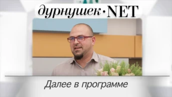 1 серия