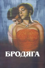 Бродяга