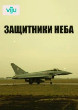 Защитники неба