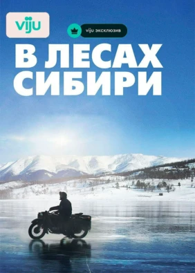 В лесах Сибири