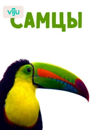 Самцы