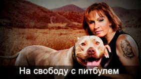 Трейлер 1