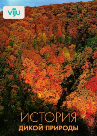 История дикой природы