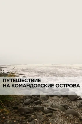 Путешествие на Командорские острова