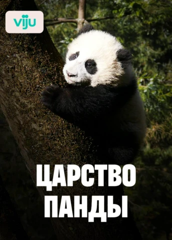 1 серия