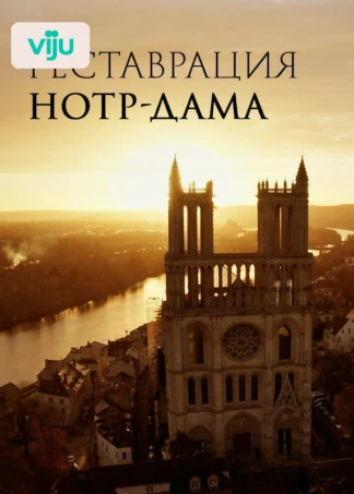 Реставрация Нотр-Дама