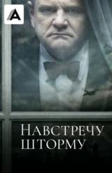 Навстречу шторму