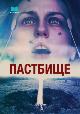 Пастбище