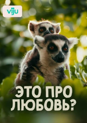 Это про любовь?