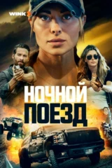 Ночной поезд