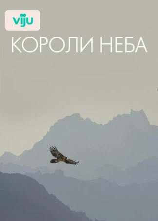 Короли неба