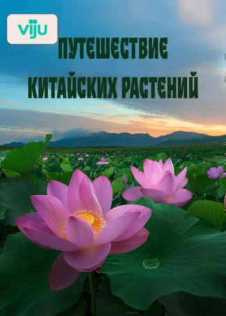 Путешествие китайских растений