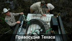 Трейлер 1