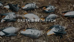 На куропатку с легавыми