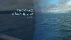 Щуки реки Рось
