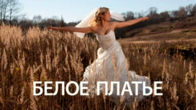 Трейлер 1