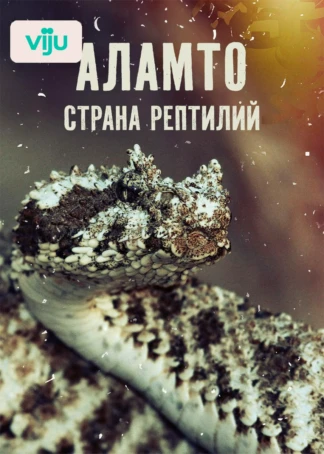 Аламто – страна рептилий