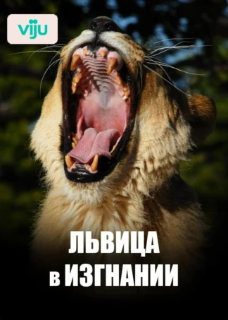 Львица в изгнании