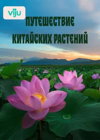 1 серия