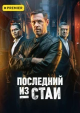 Последний из стаи