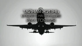 Трейлер 1