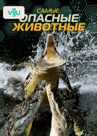 Африка